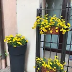 Kindly Roberta Centro Storico Peschiera,lago Relax بيت للعطل بسكييرا ديل غاردا